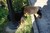 Offspring H